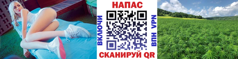 Хочу наркоту Александров Марихуана Меф мяу мяу Alpha-PVP ГАШИШ КОКАИН
