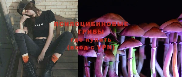 прущие крисы Алексеевка