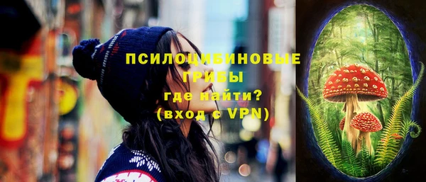 гашик Абинск